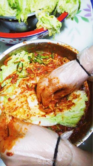 Spicy Cabbage Essence Edition recipe