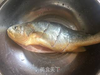 【jiangsu】steamed Yellow Croaker recipe