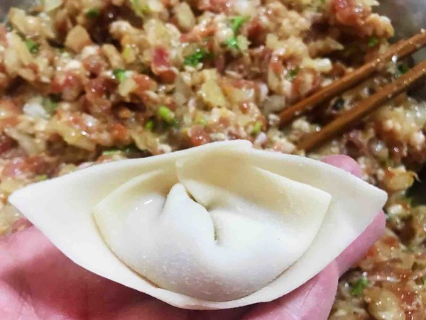 Meat Wontons with Onion recipe