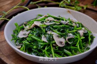 Tricholoma Watercress recipe