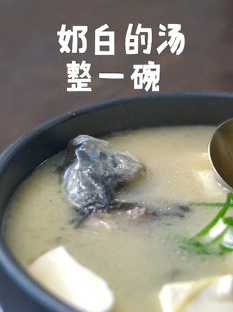 Milky White Crucian Fish Tofu Soup