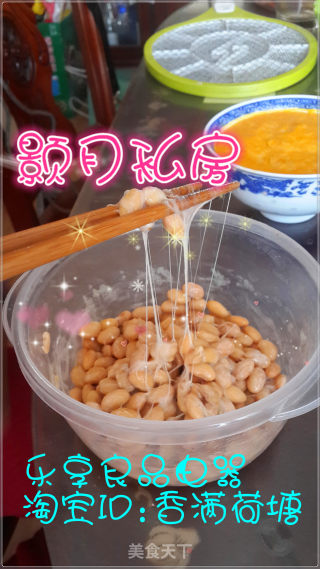 Do Not Use Natto Machine to Make Natto recipe