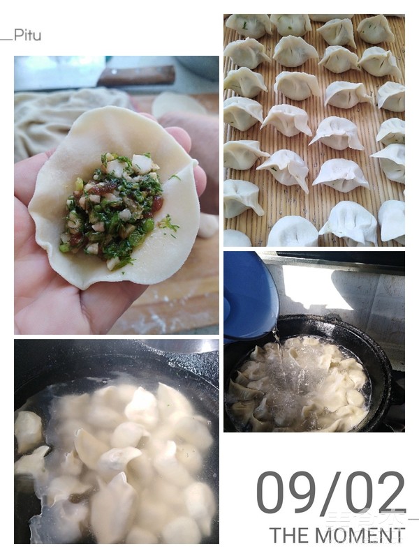 Fennel Dumplings recipe