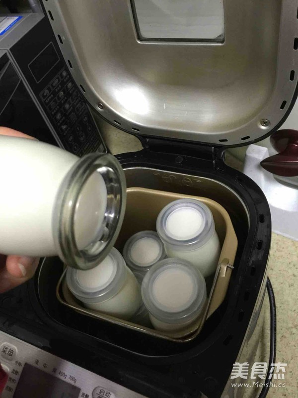 Homemade Yogurt in Bread Maker recipe