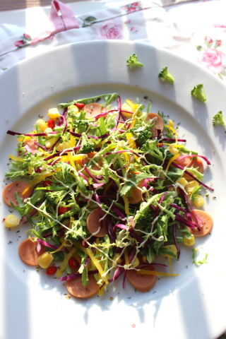 【mixed Vegetable Salad】 recipe