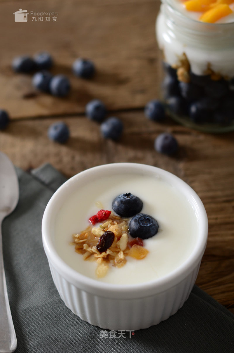 Soy Milk Yogurt-jiuyang Zhishi recipe