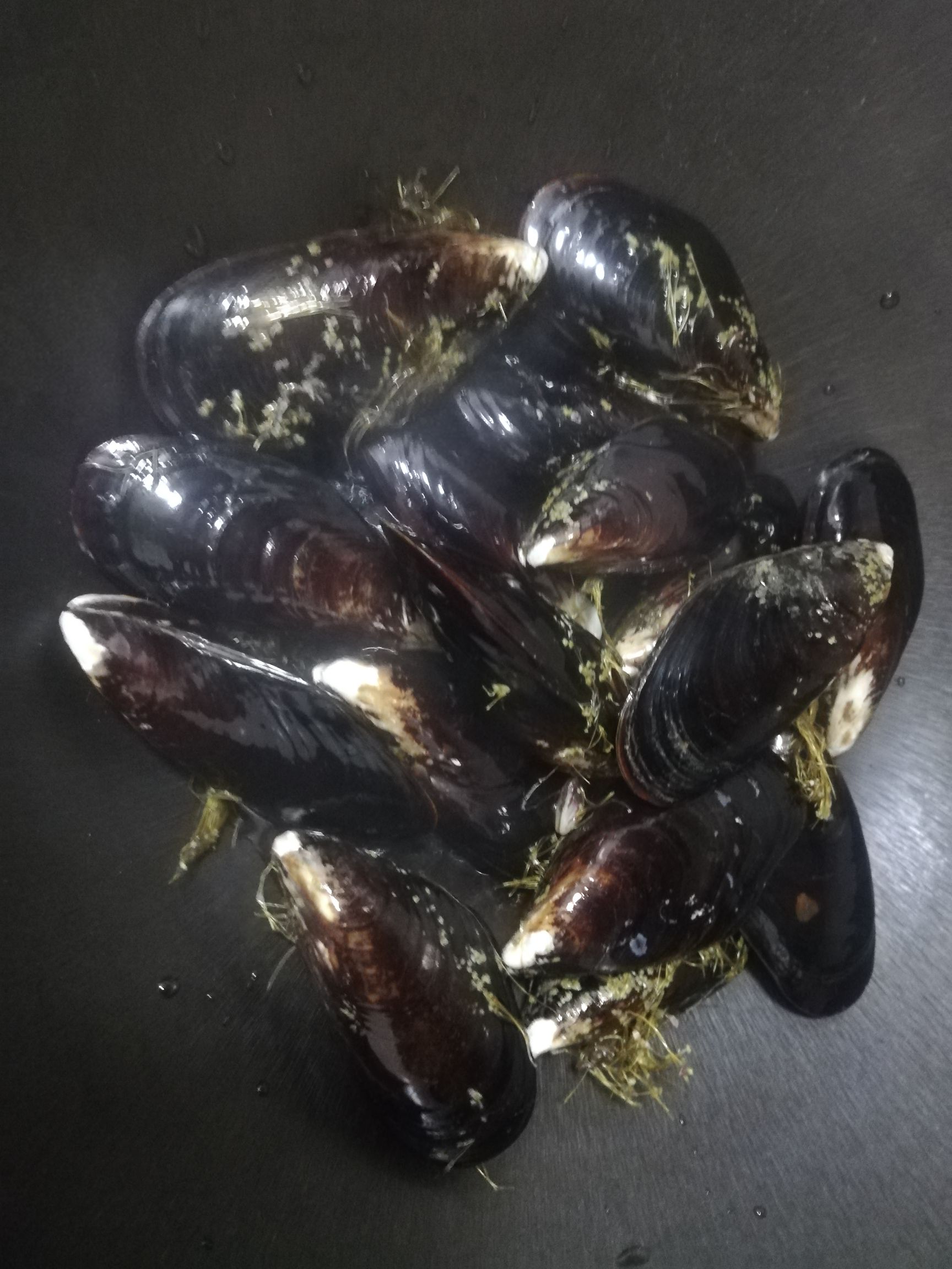 Fresh Mussels recipe