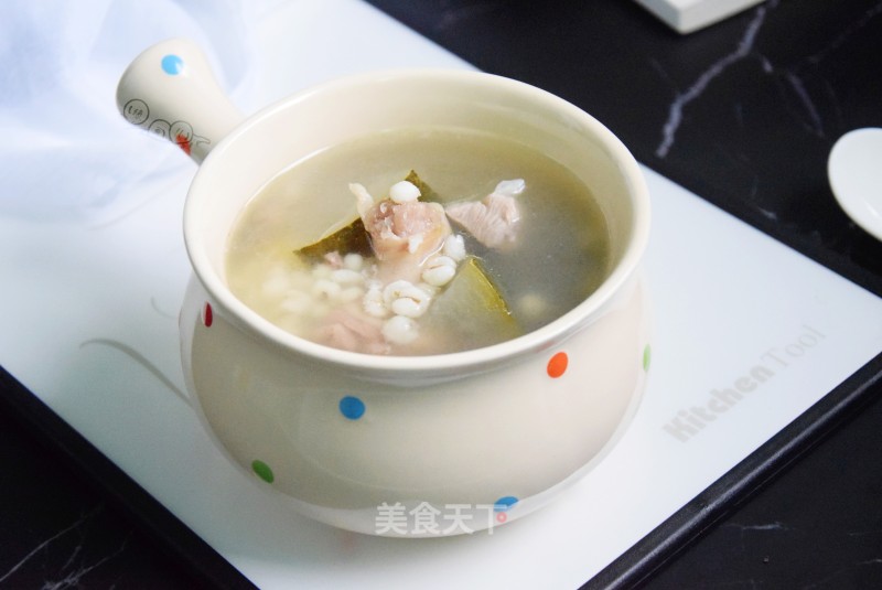 Winter Melon and Barley Duck Soup recipe
