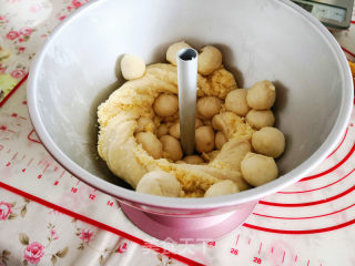 Breadfruit Tree recipe