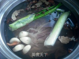 Sauce Beef Tendon recipe