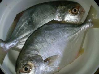 Fried and Baked White Pomfret recipe