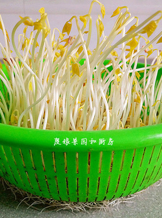 Spontaneous Mung Bean Sprouts recipe