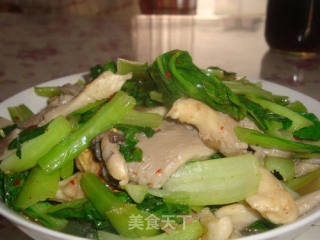 Rapeseed Pleurotus Ostreatus recipe