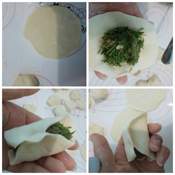 Fennel Pork Dumplings recipe