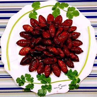 Stir-fried Silkworm Chrysalis with Garlic Chili Sauce recipe