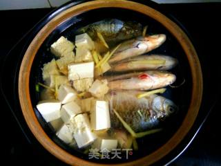 Casserole Crucian Carp Tofu Soup recipe