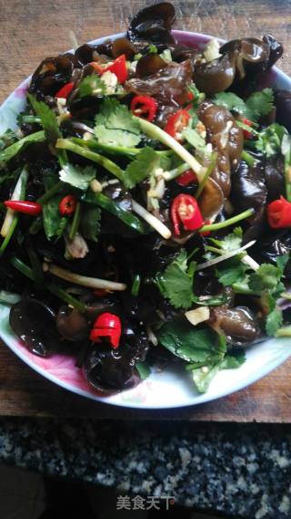 Cold Fungus recipe
