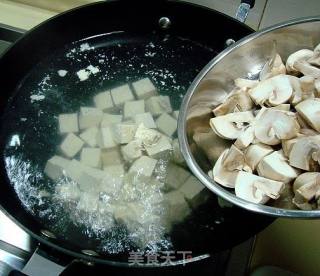 Tofu Stewed with Mushrooms recipe