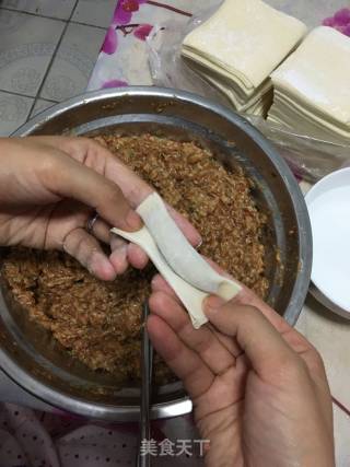 Fresh Meat Wonton recipe