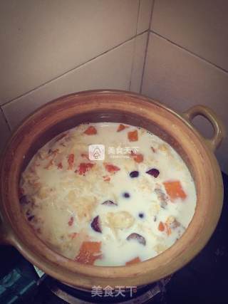 Papaya, Snow Fungus and Red Date Milk recipe