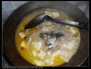Carp Stewed Tofu recipe