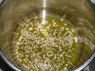 Barley and Mung Bean Sorbet recipe