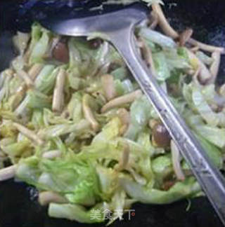 Stir-fried Beef Cabbage with Tea Tree Mushroom recipe