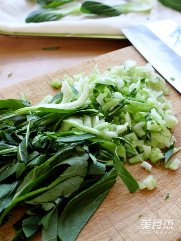 Chicken Soup and Vegetable Meat Wonton recipe