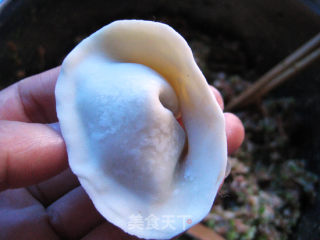Celery Pork Ingot Dumplings recipe