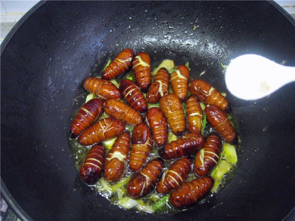 Fried Silkworm Chrysalis recipe