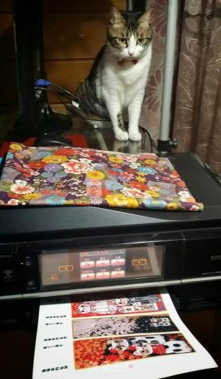 Cantonese-style Coconut Milk Fragrant Mooncakes recipe