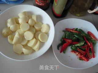 Braised Tofu with Double Peppers recipe