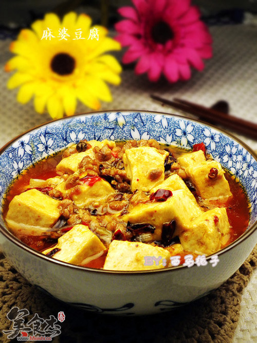 Mapo Tofu recipe