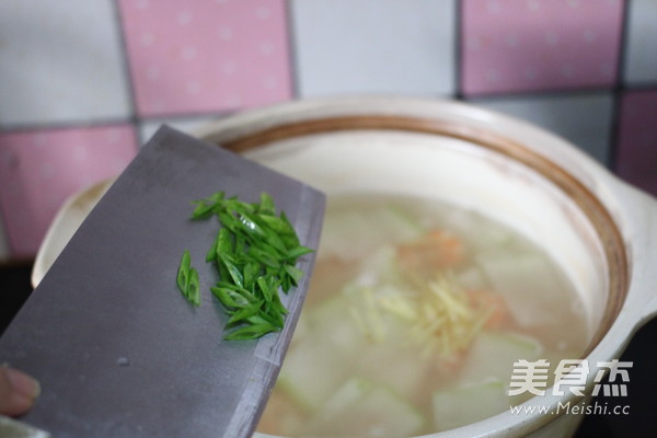 Winter Melon and Shrimp Soup recipe