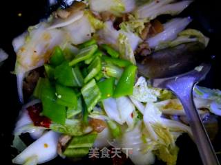 Griddle Spicy Cabbage recipe