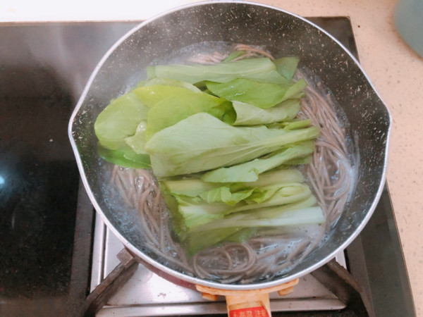 Soba Noodles recipe