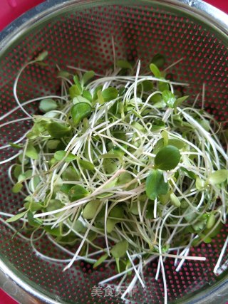 Tofu Mixed with Toon Sprouts recipe