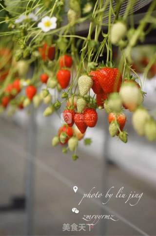 Simple and Delicious Strawberry Jam recipe