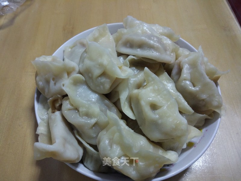 Donkey Meat and Cabbage Dumplings