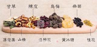 How to Make Sour Plum Soup recipe