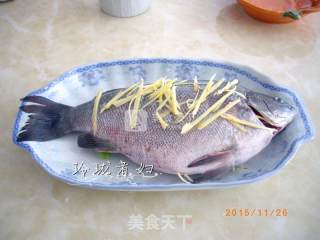 Steamed Pearl Spots recipe