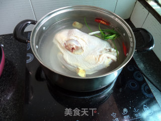 Saliva Chicken recipe