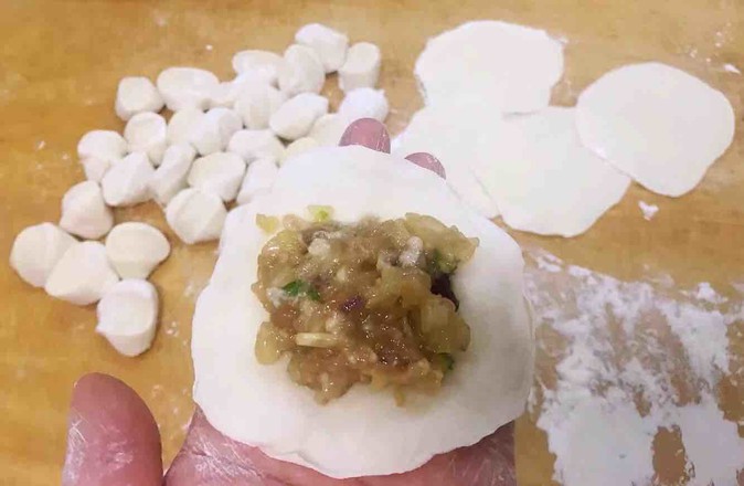 Meat Dumplings with Onion recipe