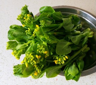 Nourish The Liver in Spring and Eat More Greens One by One to Stir-fry The Rape Moss recipe