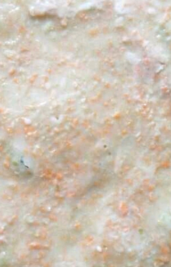Celery Cake recipe
