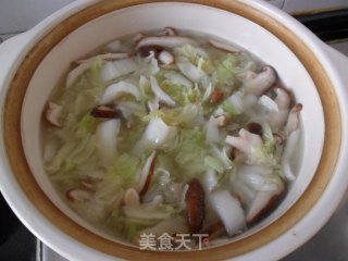 Chicken Shredded Cabbage Tofu Soup recipe