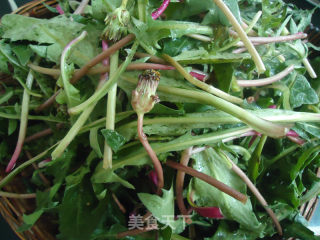 Dandelion Salad recipe