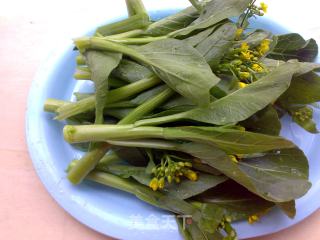 Stir-fried Choy Sum with Oyster Sauce recipe