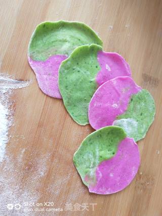 Colorful Fried Dumplings recipe