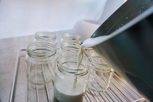 🥛0 Failure-rich and Smooth-brushable Yogurt (milk Version, Cheese Version, Milk Powder Version) recipe